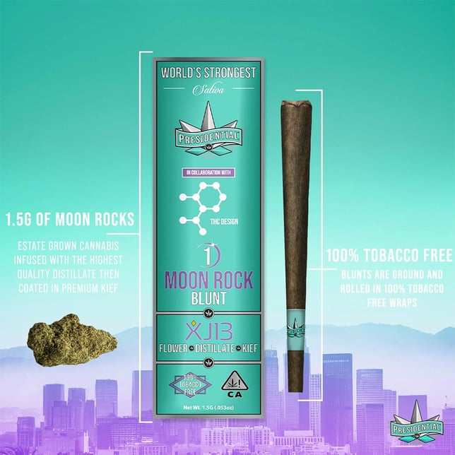 XJ-13 [1.5g] - Image 2