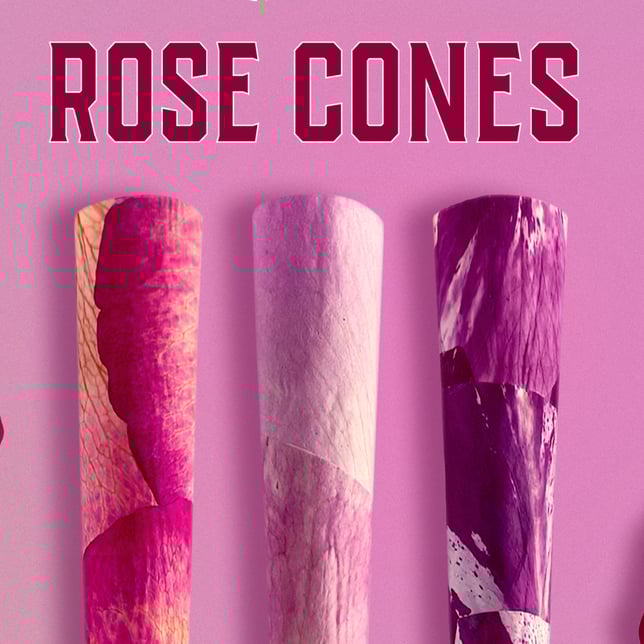 Rose Cones - Image 3 Rose Cones - Image 3