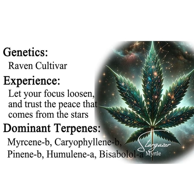 CBD Stargazer Myrtle [.75g] - Image 3