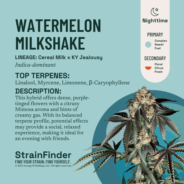 Watermelon Milkshake - Image 3