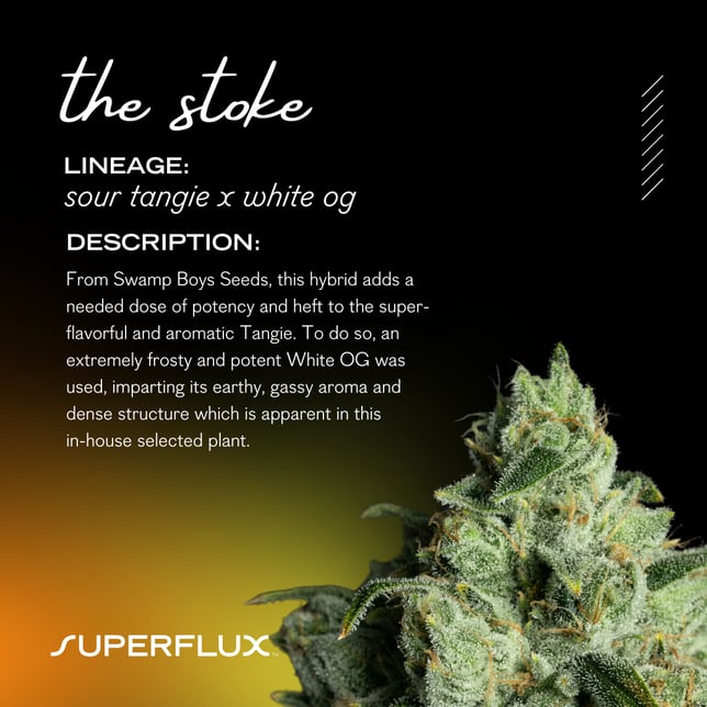 The Stoke - Image 3