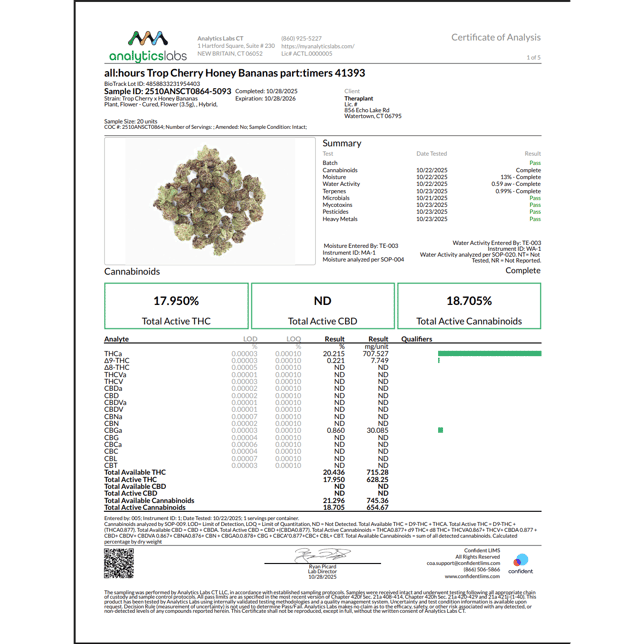 all:hours - Trop Cherry Honey Bananas (H) part:timers Flower  C0040001393 - Image 3
