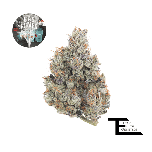 Gas Fumes - Image 1 Gas Fumes - Image 1