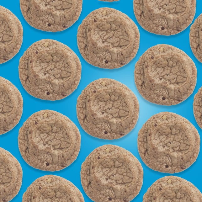 Chocolate Chip [1pk] (100mg) - Image 2