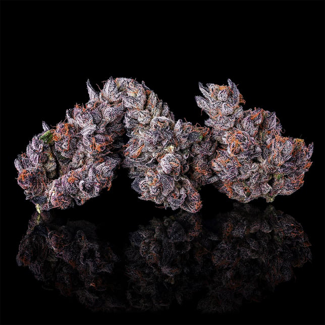 Dirty Laundry Goldies Infused Pre-Rolls 5-Pack [3g] - Image 6