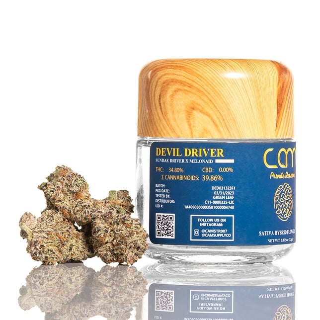 Devil Driver - Image 2