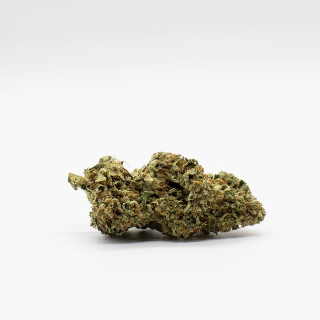 Indigo - Image 3 Indigo - Image 3