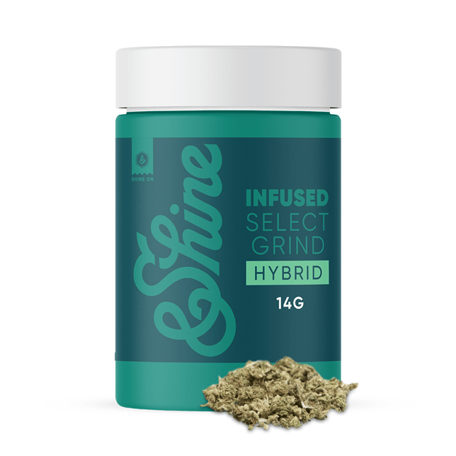 Tropical Railroad - Image 2