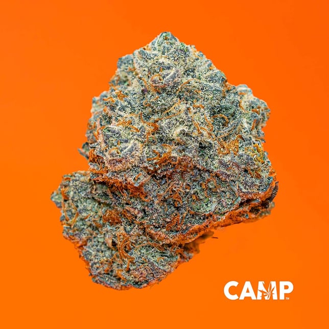 Double Solo Burger - Image 2