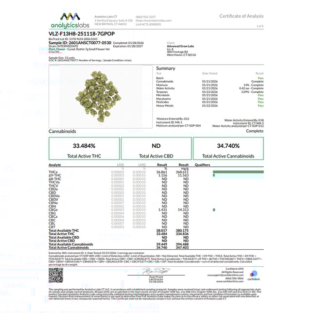 Rythm - Vel Croz (H) Smalls  C0010001249 - Image 4