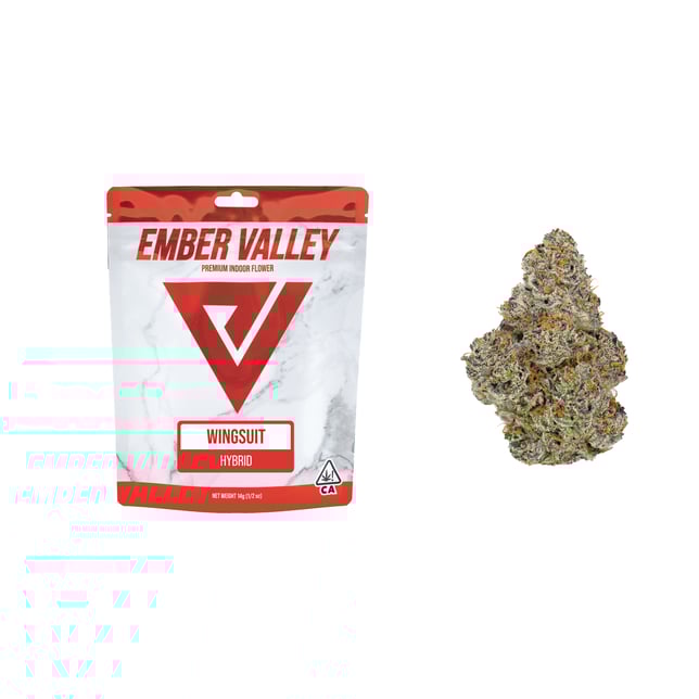 Wingsuit - Image 3 Wingsuit - Image 3