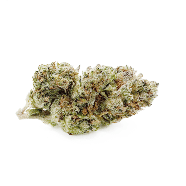 Moroccan Peaches - Image 2 Moroccan Peaches - Image 2