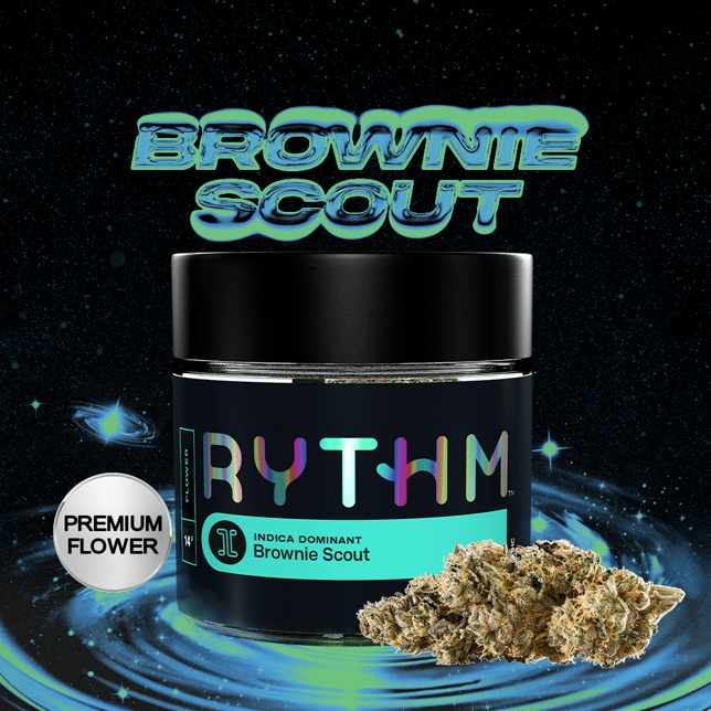 Brownie Scout - Image 5