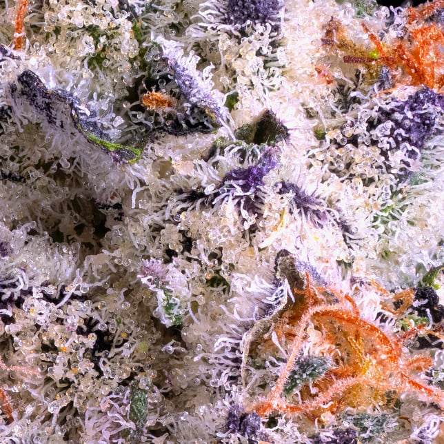 Shangri-La [3.5g] - Image 6