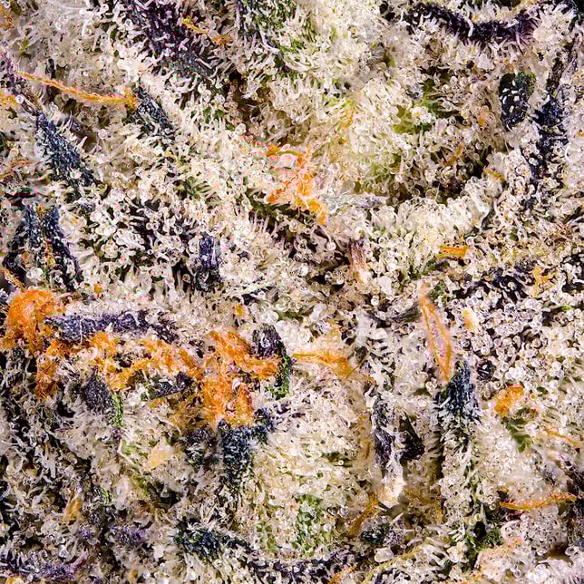 Chroma Pre-Roll 5-Pack [2.5g] - Image 5