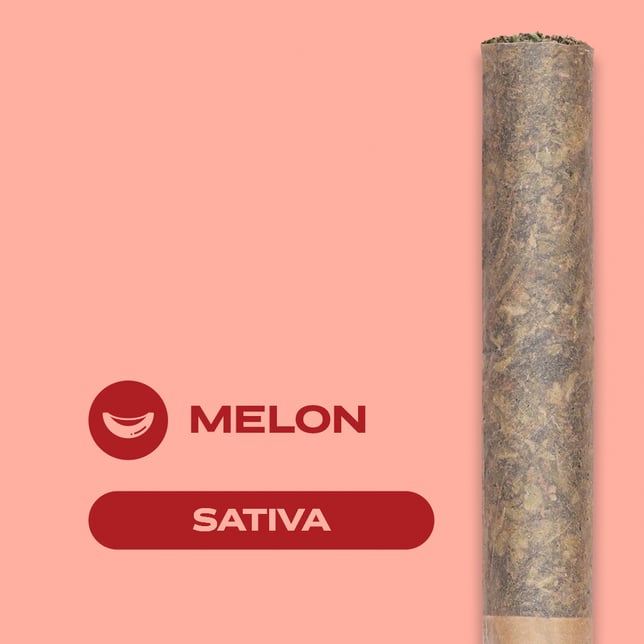 FRIYAY: Watermelon [1g] - Image 4