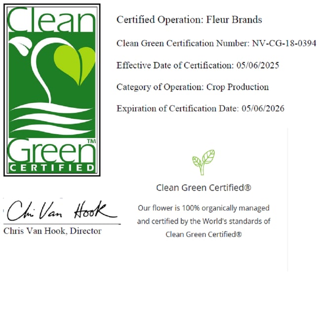 Grape Monster - Image 3