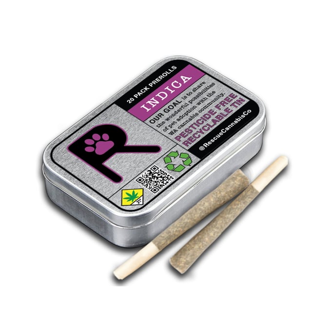 Ice Cream Cake [20 Pack .5g] - Image 2