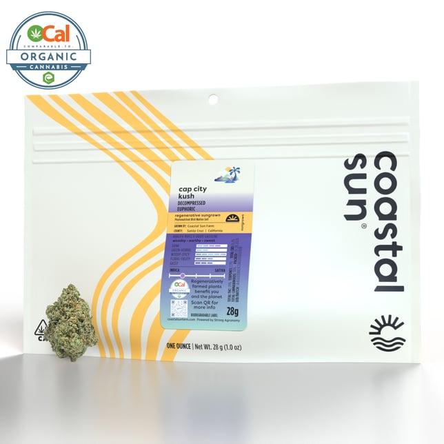 Cap City Kush - Image 2