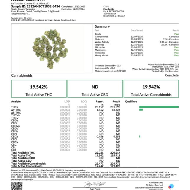 Comffy - Atomic Tangerine (S) Flower C0140000114 - Image 2 Comffy - Atomic Tangerine (S) Flower C0140000114 - Image 2