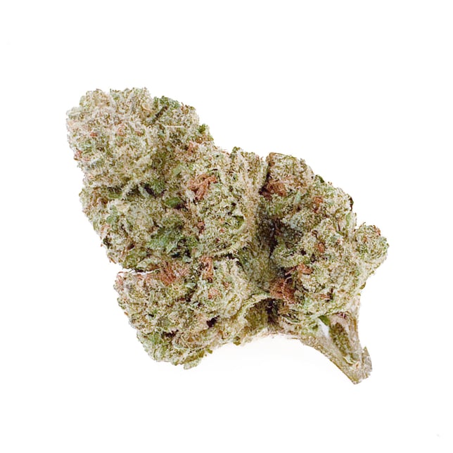 Cherry Garcia - Image 2 Cherry Garcia - Image 2