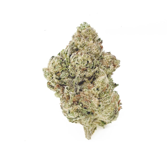 Black Cherry Gelato - Image 2