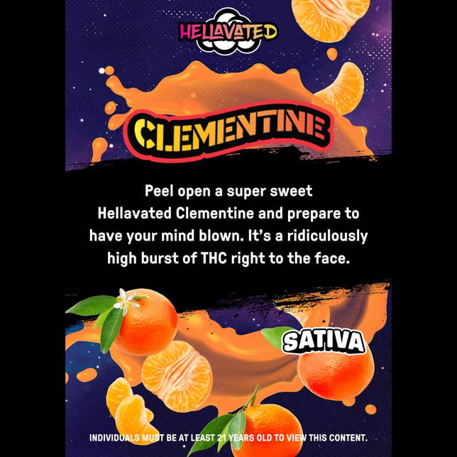 Clementine - Image 2