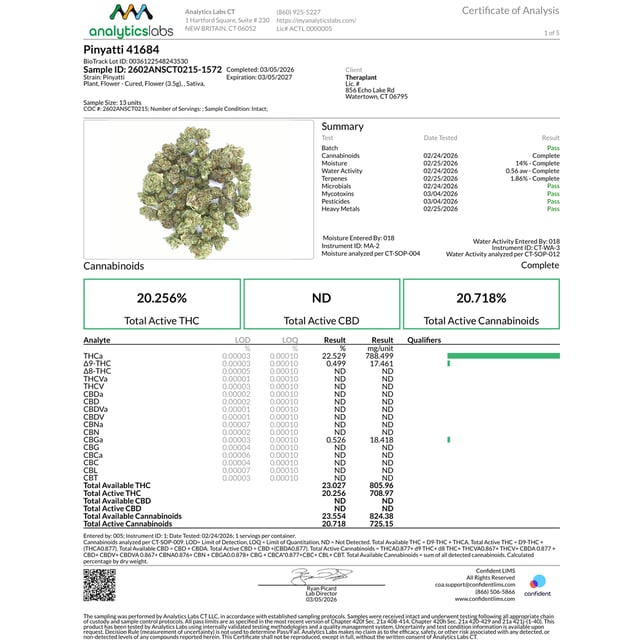 Theraplant - Pinyatti (S) Flower  C0040001684 - Image 3