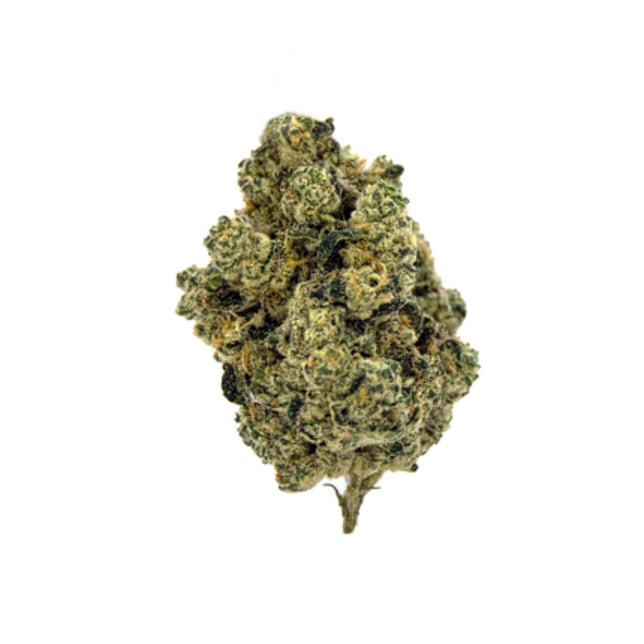 Miami Yeyo [1g] - Image 3