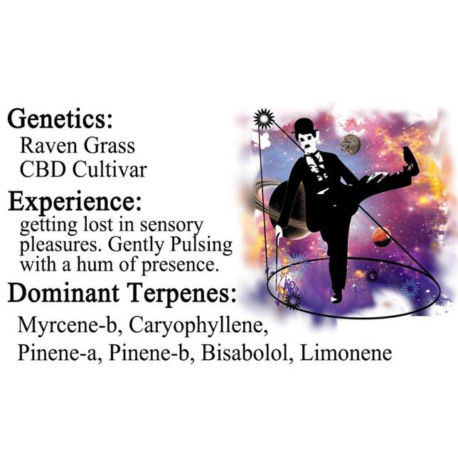 CBD Cosmic Charlie [.75g] - Image 2