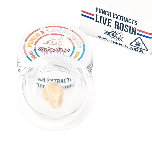 Toronja Paloma - Image 1 Toronja Paloma - Image 1