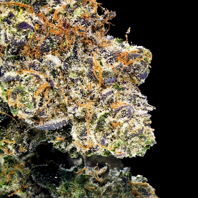 Key Lime Jack All-In-One Gold Blend [1000mg] - Image 6