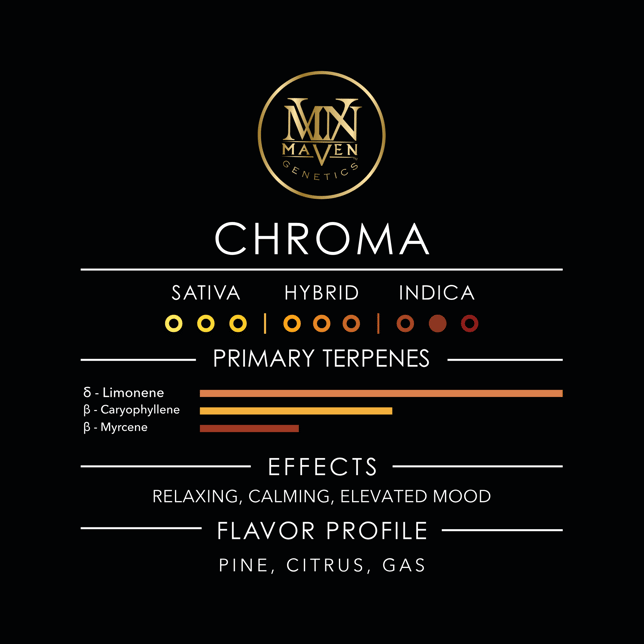 Chroma [14g] - Image 13