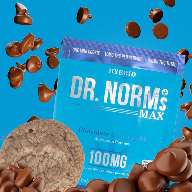 Chocolate Chip [1pk] (100mg) - Image 3