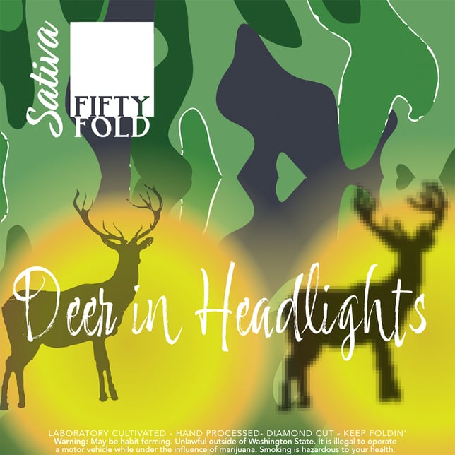 Deer in Headlights - Image 1