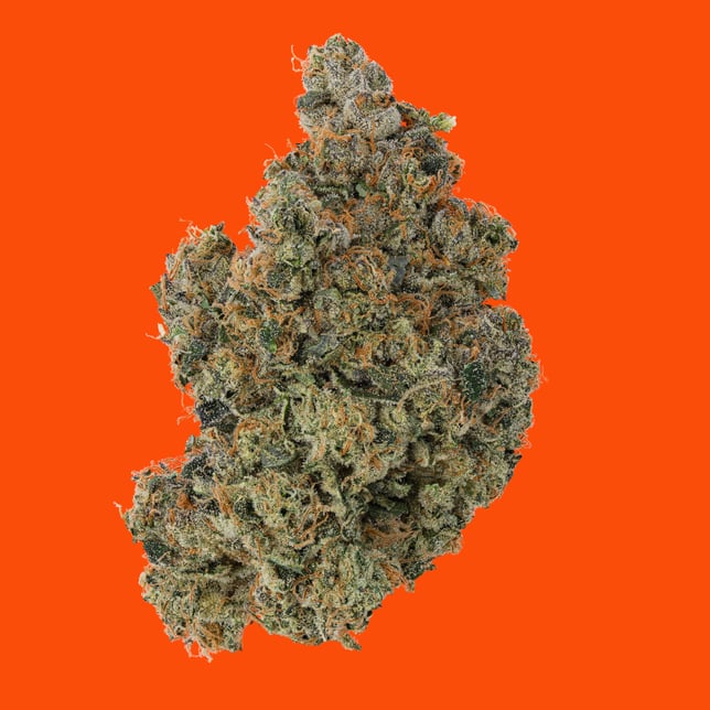 Sour Encounters - Image 2 Sour Encounters - Image 2