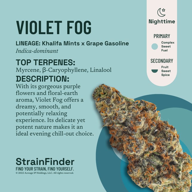 Violet Fog - Image 3