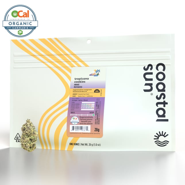 Tropicana Cookies - Image 2