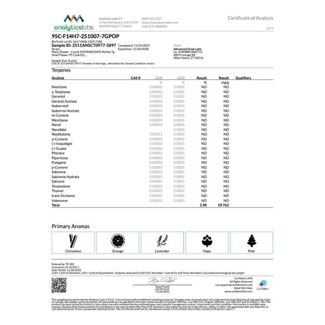 Rythm - 95 Cook (H) Smalls C0010001109 - Image 6 Rythm - 95 Cook (H) Smalls C0010001109 - Image 6