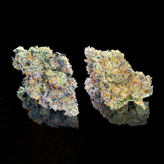 Chem 51 [3.5g] - Image 4