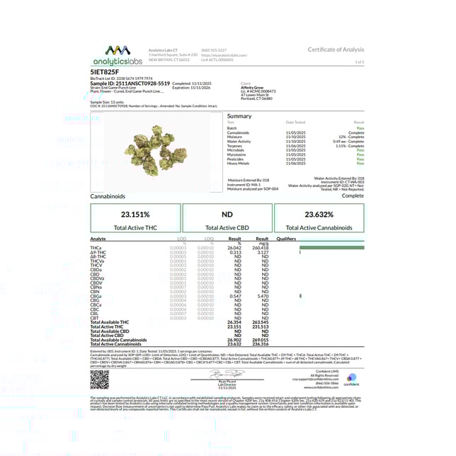 Affinity Grow - Endgame Punchline (I) Flower  C0090000737 - Image 3