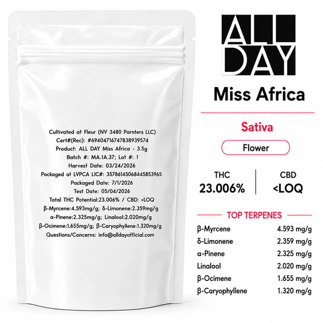 Miss Africa - Image 2