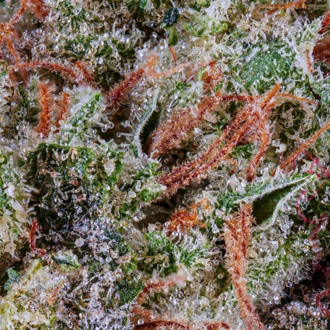 Triple Stack - Image 2