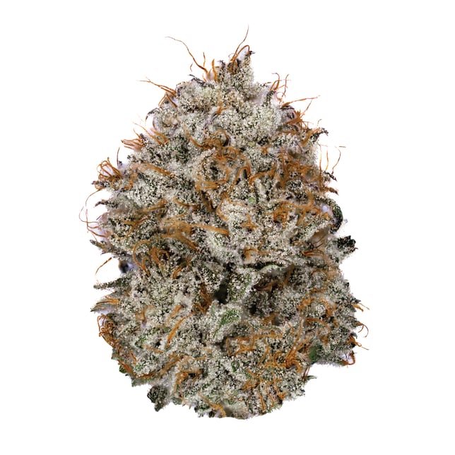 Peach Tartz - Image 3 Peach Tartz - Image 3