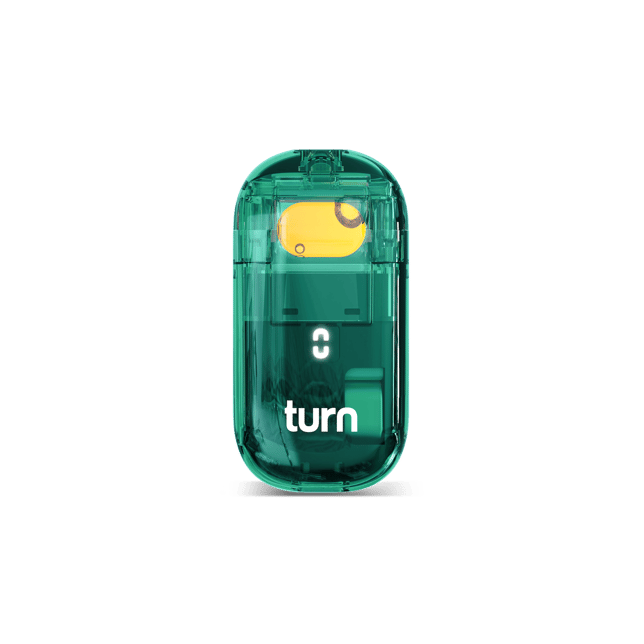 Turnagotchi [2g] - Image 4