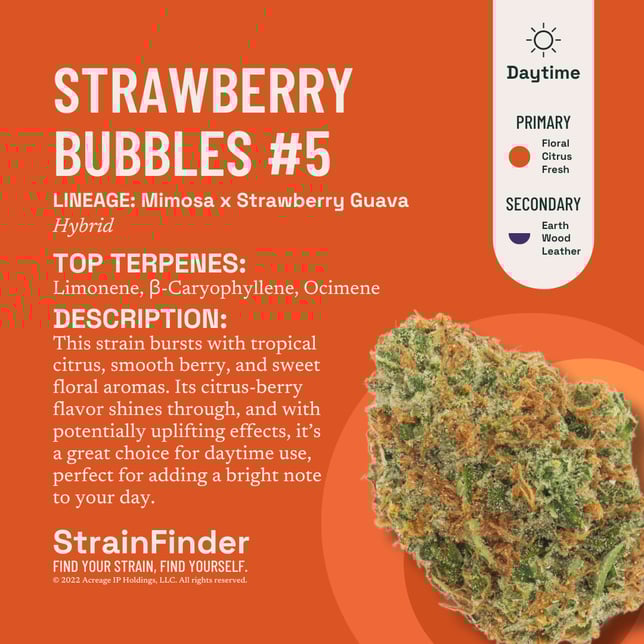 Strawberry Bubbles #5 - Image 3