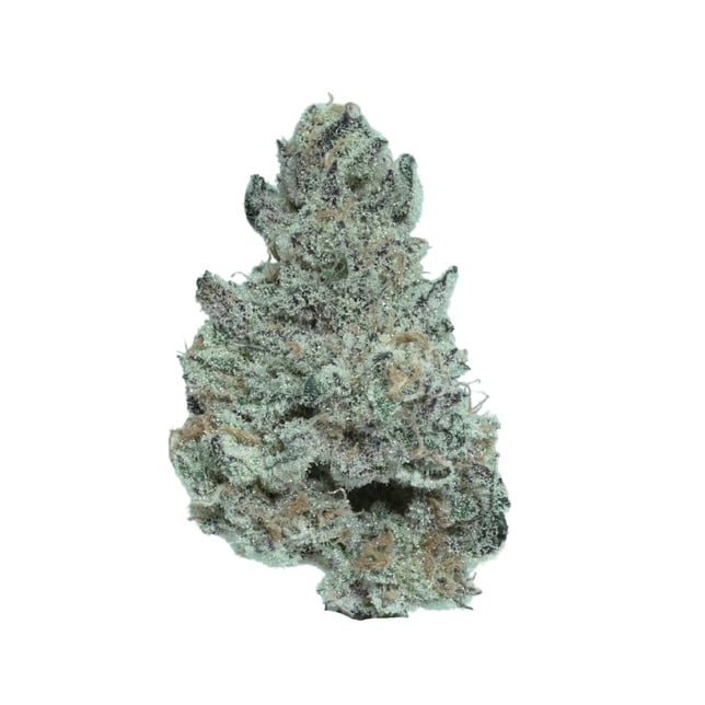 Coolio - Image 1 Coolio - Image 1