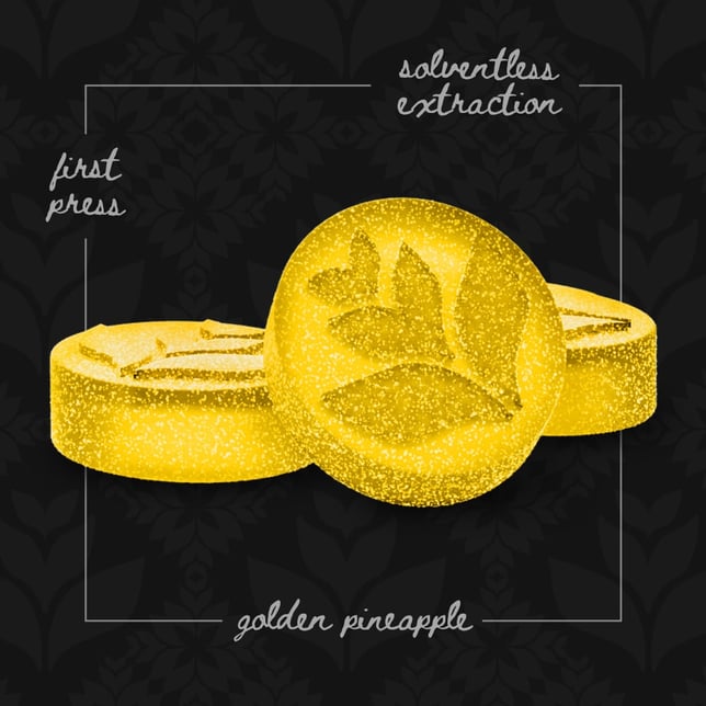 Live Rosin Gummies - Golden Pineapple [10pk] (100mg) - Image 2