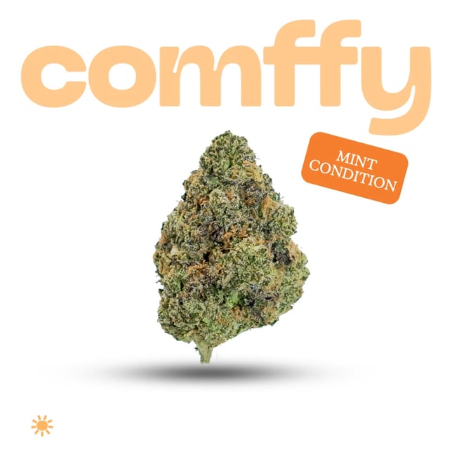 comffy - Mint Condition (S) Flower C0140000273 - Image 1