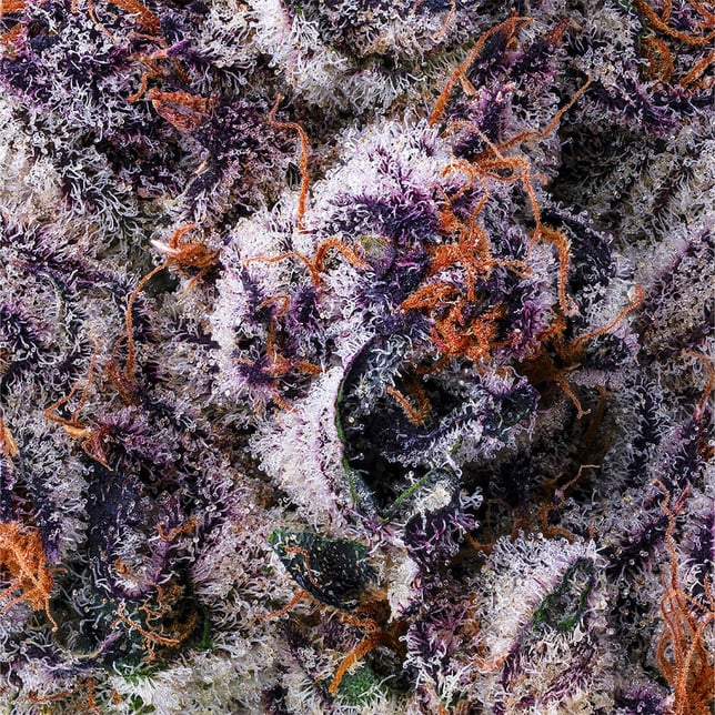 Chrome Dome Pre-Roll 5-Pack (2.5g) - Image 5